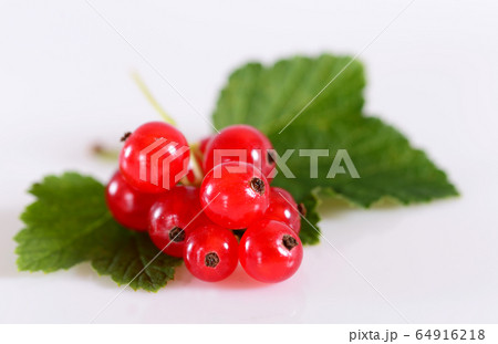 Red currant close up 64916218