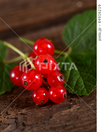 Red currant close up 64916219
