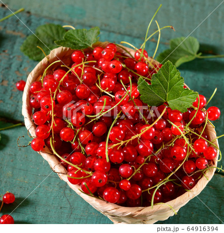 Red currants 64916394