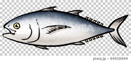 Tuna 64916944