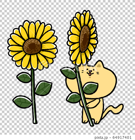 Summer Sunflower Cat Cute Illustration Stock Illustration