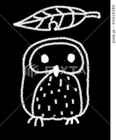 暗闇　フクロウ 64918380