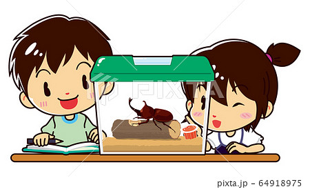 虫かごの中のカブトムシを観察する男の子と女の子のイラスト素材