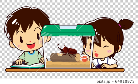 虫かごの中のカブトムシを観察する男の子と女の子のイラスト素材