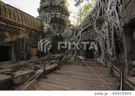 Ta Prohm Temple, Angkor Temple overgrown by massive trees after abandoned for centuries, Siem Reap, Cambodia Ta Prohm Temple, Angkor Temple overgrown by massive trees after abandoned for centuries, Siem Reap, Cambodia 64919403
