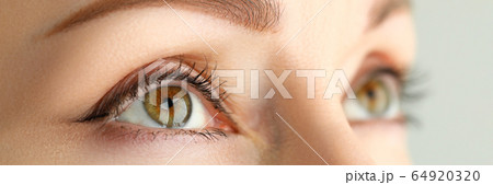 Close-up face model permanent makeup eyebrows Close-up face model permanent makeup eyebrows 64920320