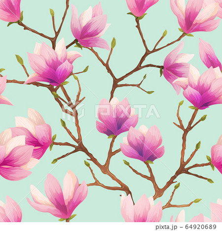 Magnolia Seamless Pattern Magnolia Seamless Pattern 64920689