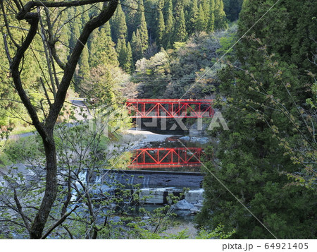 根尾川に架かる赤い橋 根尾川に架かる赤い橋 64921405