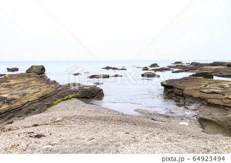 磯（春） 64923494