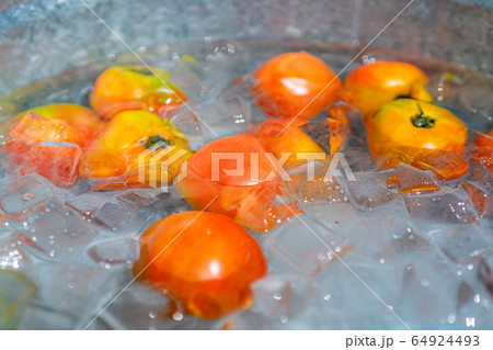 夏の風景 トマト 【岐阜県】 夏の風景 トマト 【岐阜県】 64924493