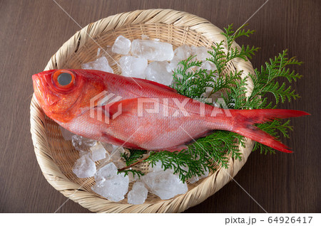 Kinmedai, japanese fresh whole red snapper Kinmedai, japanese fresh whole red snapper 64926417