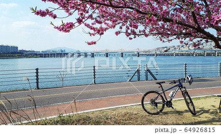 川 河 水 64926815