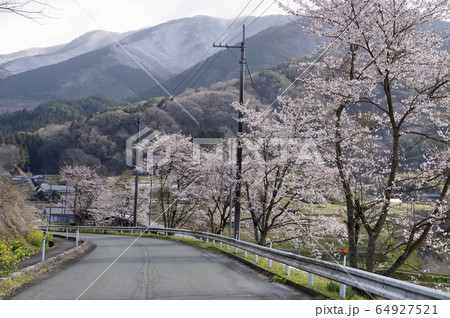 里山農村風景 桜のある風景 桜街道 福田頭 里山農村風景 桜のある風景 桜街道 福田頭 64927521