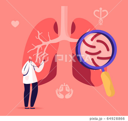 Tuberculosis Medical Pulmonological Care, Anatomy Respiratory Medicine, Healthcare and Pulmonology Tuberculosis Medical Pulmonological Care, Anatomy Respiratory Medicine, Healthcare and Pulmonology 64928866