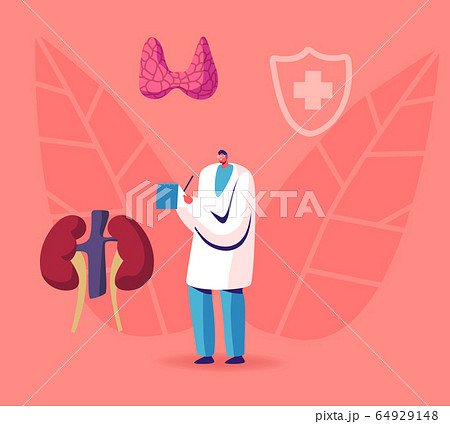 Male Doctor Endocrinologist Writing in Notebook with Endocrine System Organs around, Medical Staff in White Robe Male Doctor Endocrinologist Writing in Notebook with Endocrine System Organs around, Medical Staff in White Robe 64929148