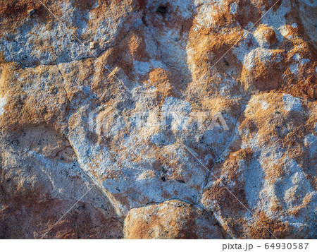 Lichen on rock 64930587