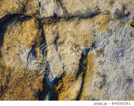 Lichen on rock 64930591