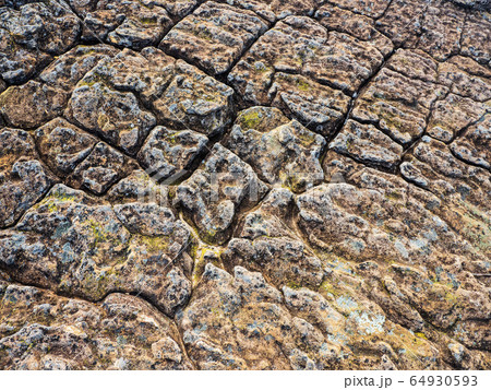 Lichen on rock 64930593