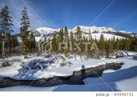 Trees and river in snow 64930732