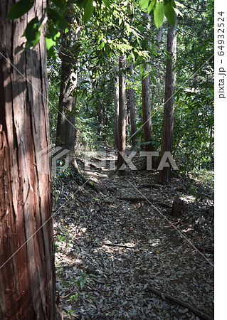山道 山道 64932524