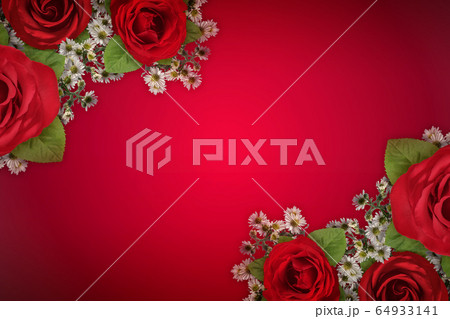 Red roses on a red background 64933141