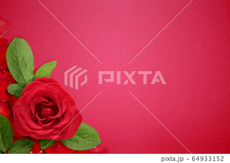Red roses on a red background Red roses on a red background 64933152
