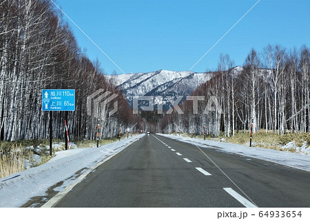 白樺林の続く国道273号線（北海道上士幌町） 64933654