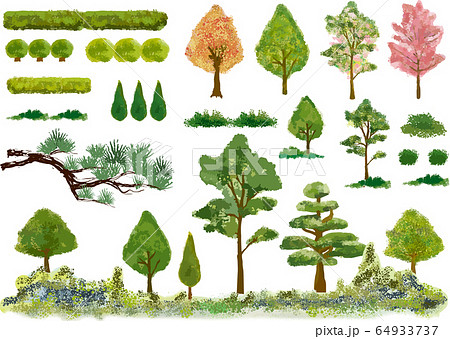 植木 植栽 緑 自然 木 庭園 庭 ガーデニング 挿絵 ベクター 日本庭園 樹木 挿絵のイラスト素材