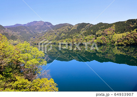 鏡面反射 64933907