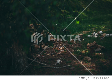 prepared firewood for the winter and an axe. dry fallen trees on the ground. Sawmill, woodworking industry, construction prepared firewood for the winter and an axe. dry fallen trees on the ground. Sawmill, woodworking industry, construction 64934182