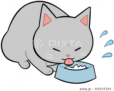 水をたくさん飲む猫のイラスト素材
