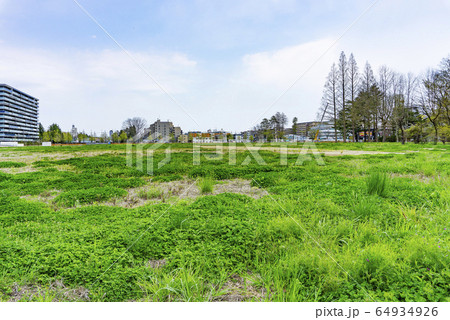 都市の空き地（仙台市） 64934926