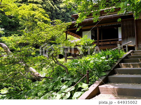 三渓園散歩　横浜本牧の名勝　実業家原三渓の遺産 64935002