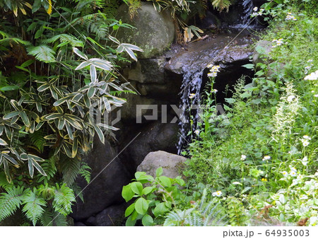 三渓園散歩　横浜本牧の名勝　実業家原三渓の遺産 64935003
