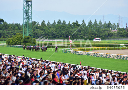 最後の直線で熱狂するファン 64935026