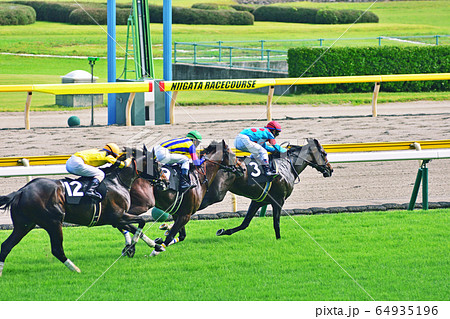 ゴールの瞬間 競馬の写真素材