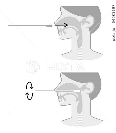 Pcr検査の図表イラスト 白黒 のイラスト素材