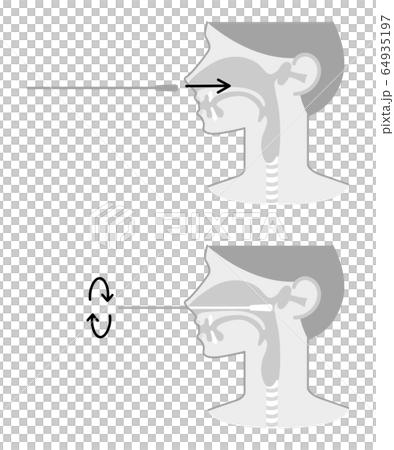 Pcr検査の図表イラスト 白黒 のイラスト素材