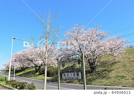 泉北高速鉄道・光明池駅周辺 64936013