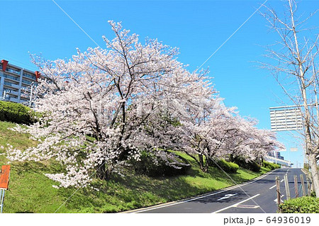 泉北高速鉄道・光明池駅周辺 64936019