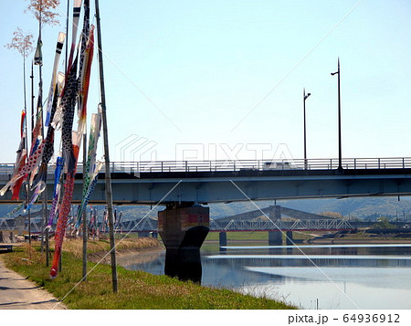 無風状態の鯉のぼり(薩摩川内市川内川） 64936912