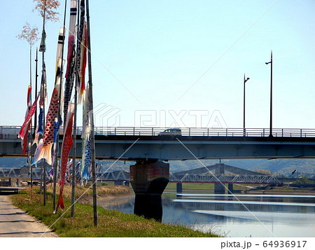 無風状態の鯉のぼり(薩摩川内市川内川） 64936917