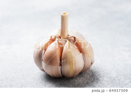 Whole garlic heads on a concrete grey background. 64937309