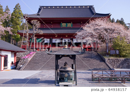 日光山輪王寺 三仏堂と金剛桜(国天然記念物) 日光山輪王寺 三仏堂と金剛桜(国天然記念物) 64938157