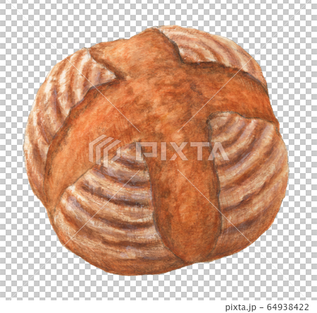 Campagne麵包手拉的水彩 64938422