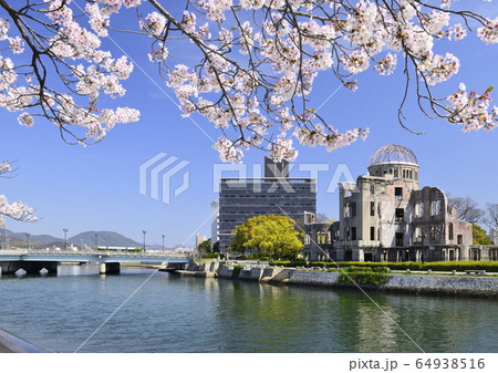 満開の桜と広島平和記念公園の原爆ドームの写真素材