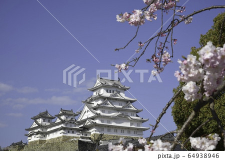 姫路城「千姫ぼたん園より」 姫路城「千姫ぼたん園より」 64938946