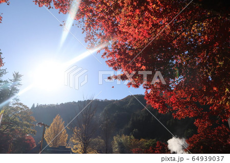 香嵐渓(紅葉 昼間) 香嵐渓(紅葉 昼間) 64939037