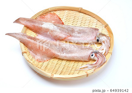 国産の生の ヤリイカ 新鮮な刺身ok用 いか 烏賊 イカ 魚介類 未調理 未加熱 の写真素材
