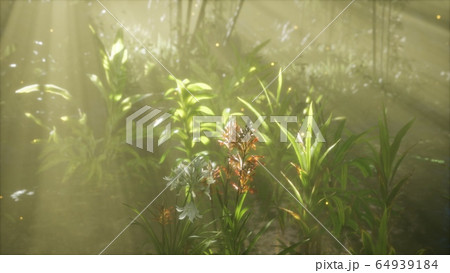 Fog Over The River In The Early Morning On Anのイラスト素材